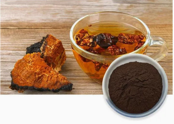 천연 10%~50% 폴리사카리드 차가 추출물 분말 추출물 CAS 84650-60-9