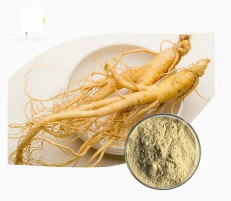 천연 유기농 고품질 Ginseng 추출물 CAS NO 90045-38-8 Ginseng Monomer Saponins