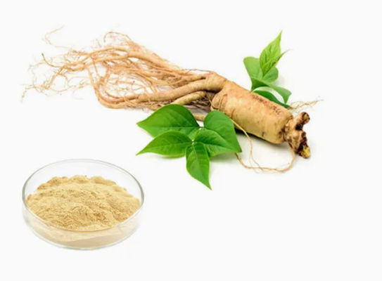 천연 유기농 고품질 Ginseng 추출물 CAS NO 90045-38-8 Ginseng Monomer Saponins