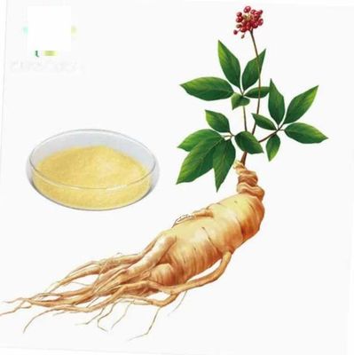 천연 유기농 고품질 Ginseng 추출물 CAS NO 90045-38-8 Ginseng Monomer Saponins