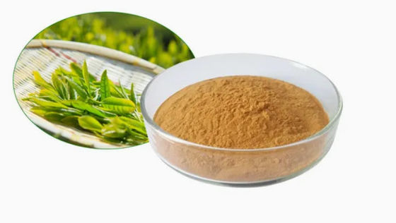 식물성 자연 식품급 녹차 추출물 CAS No 989-51-5 Camellia Sinensis o.ktze