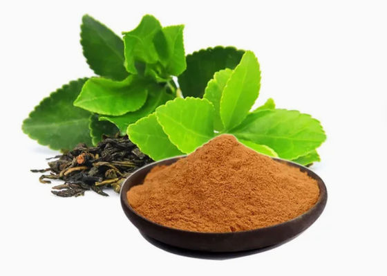 식물성 자연 식품급 녹차 추출물 CAS No 989-51-5 Camellia Sinensis o.ktze