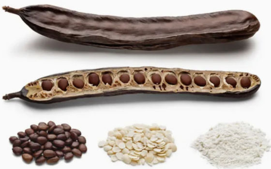유기농 식품 및 화장품 등급 카로브  gomme 파우더 CAS NO 9000-40-2 Locust Bean Gum