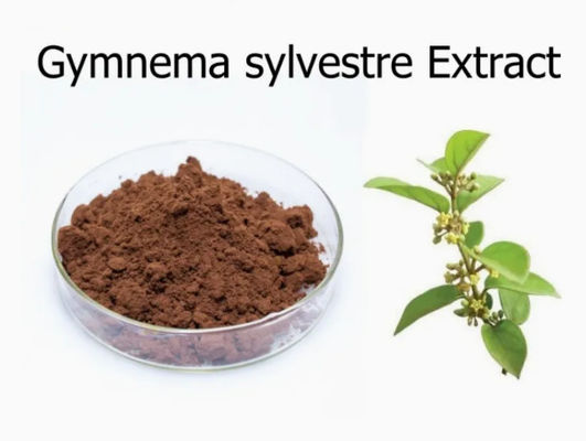 식물 추출물 Gymnema Sylvestre 추출물 CAS NO 90045-47-9 뿌리 또는 허브 추출물 분말