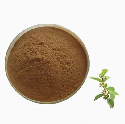 식물 추출물 Gymnema Sylvestre 추출물 CAS NO 90045-47-9 뿌리 또는 허브 추출물 분말