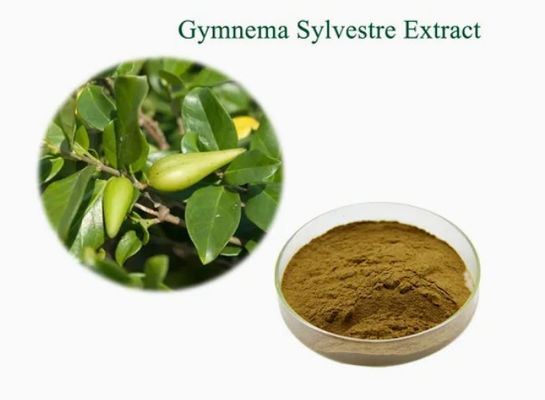식물 추출물 Gymnema Sylvestre 추출물 CAS NO 90045-47-9 뿌리 또는 허브 추출물 분말