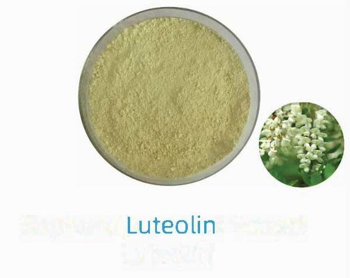 천연 식물 추출물 루테올린 98% CAS NO 491-70-3 HPLC 항 바이러스 분말 루테올린