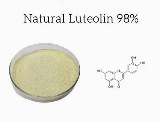천연 식물 추출물 루테올린 98% CAS NO 491-70-3 HPLC 항 바이러스 분말 루테올린